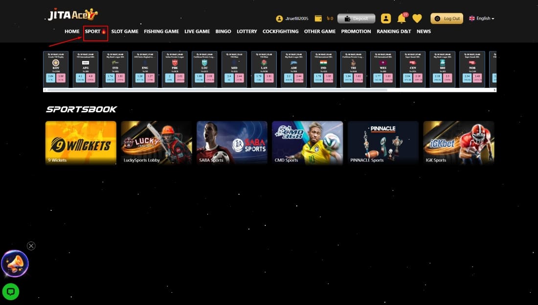 JitaAce sportsbook section with icons for 9 Wickets, SABA Sports, CMD, and other providers
